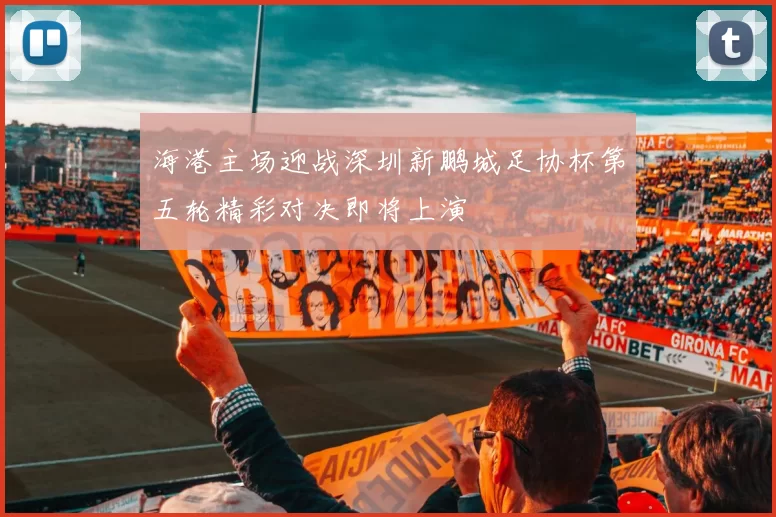海港主场迎战深圳新鹏城足协杯第五轮精彩对决即将上演